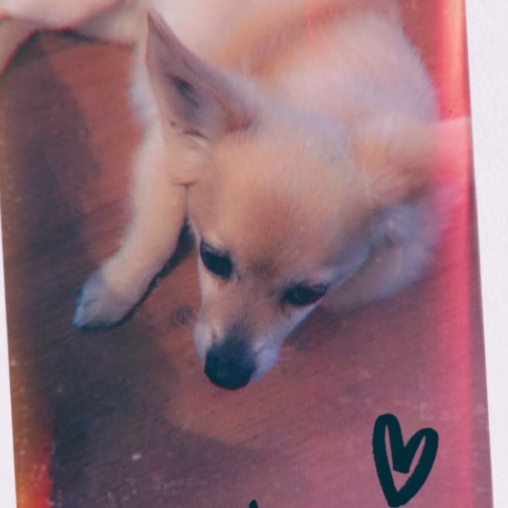 Meet your Posher, Veronica